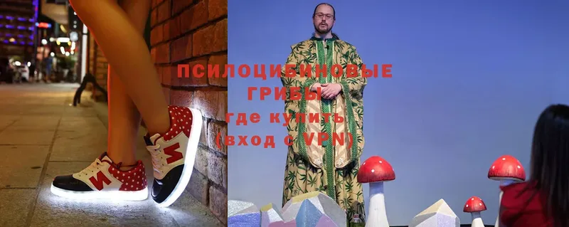 Галлюциногенные грибы мицелий  OMG tor  Ишимбай 